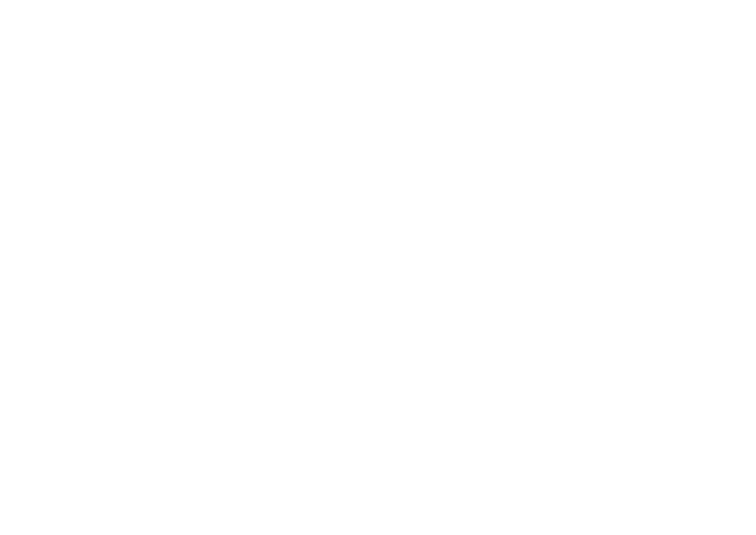 Virtuoos